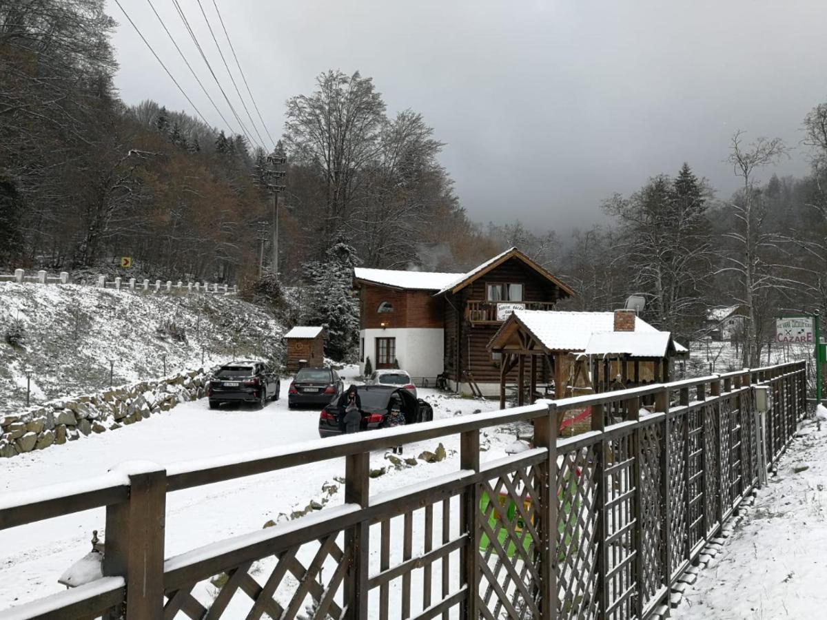 Cabana Rustic Natura Cîrţişoara Екстериор снимка