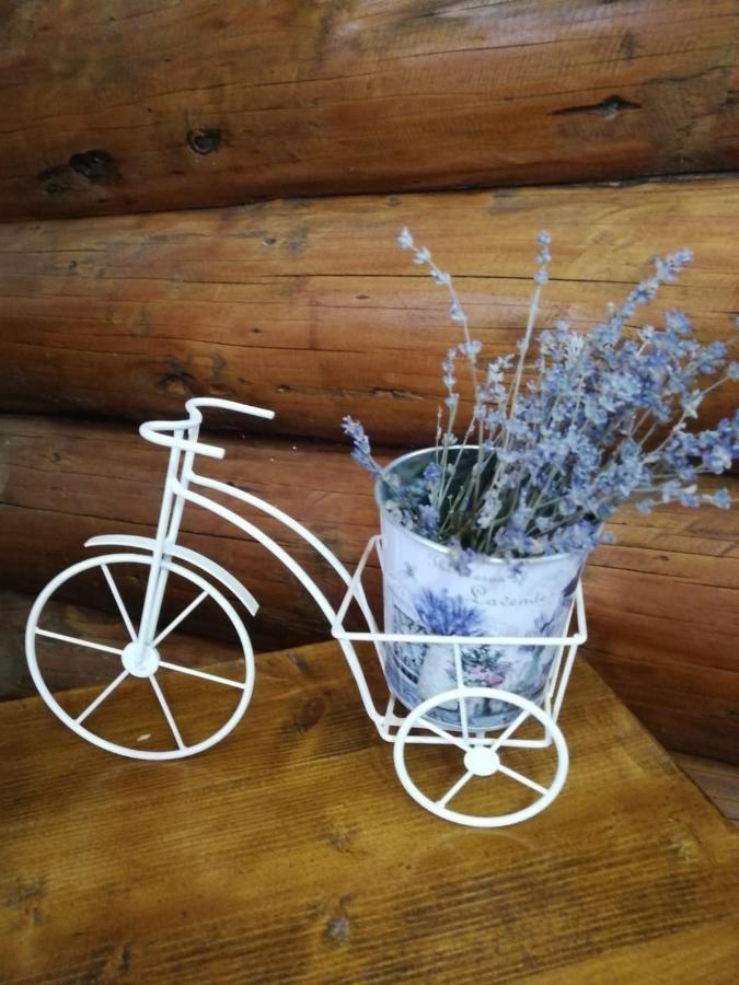 Cabana Rustic Natura Cîrţişoara Екстериор снимка