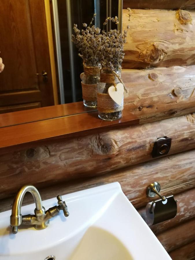 Cabana Rustic Natura Cîrţişoara Екстериор снимка