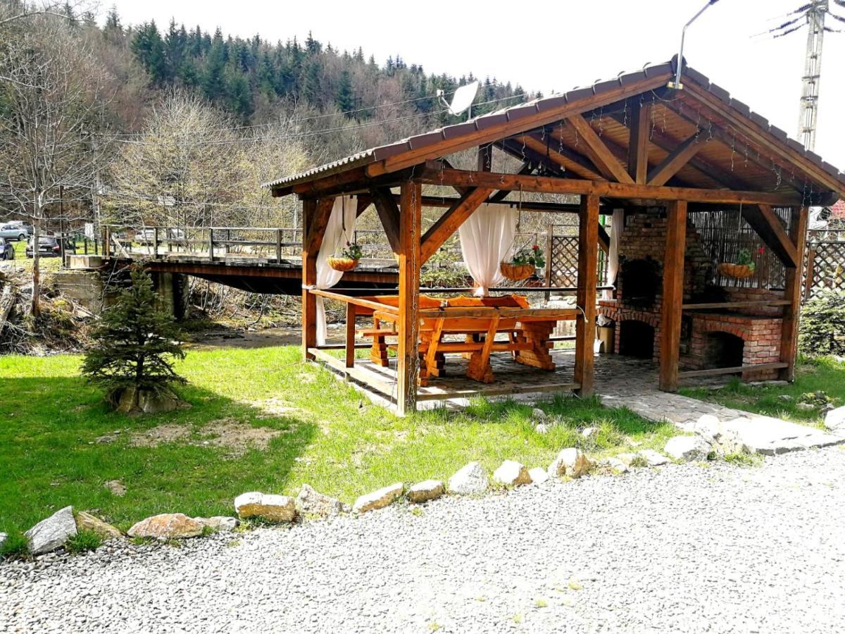 Cabana Rustic Natura Cîrţişoara Екстериор снимка