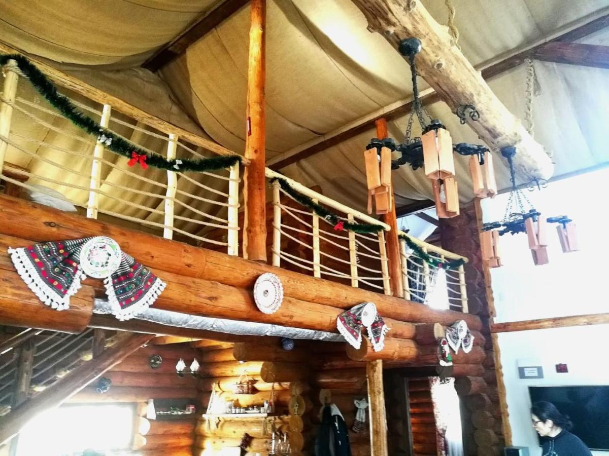Cabana Rustic Natura Cîrţişoara Екстериор снимка