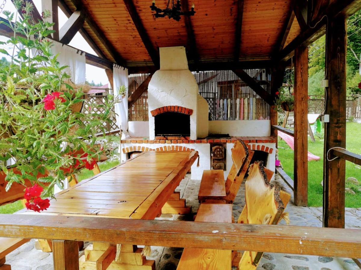 Cabana Rustic Natura Cîrţişoara Екстериор снимка