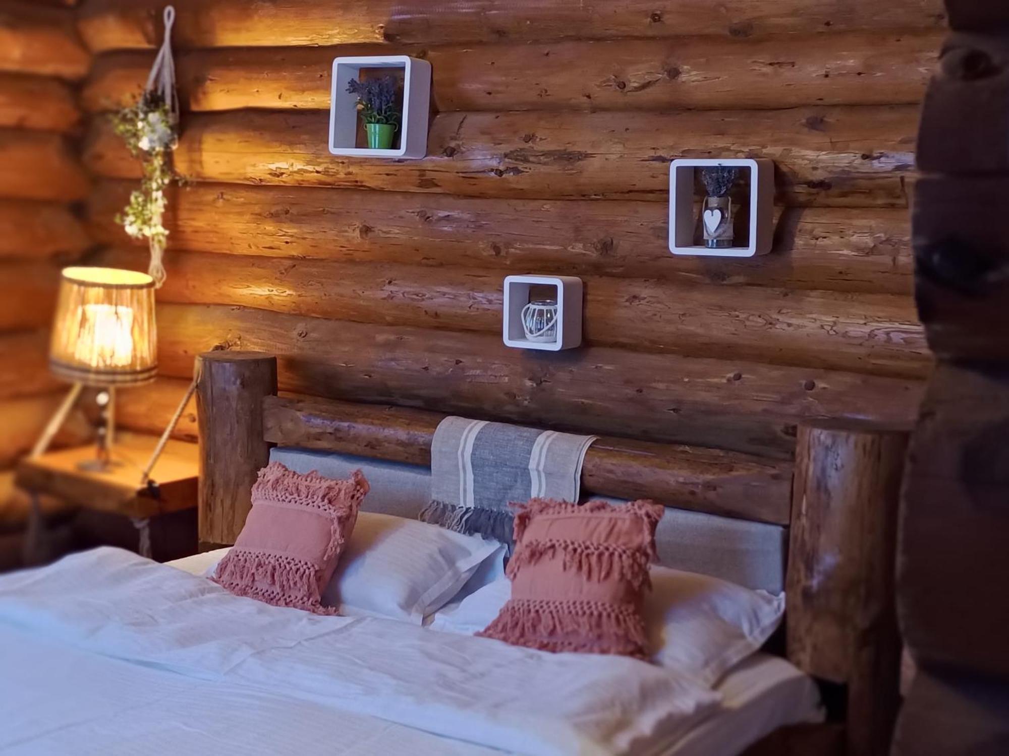 Cabana Rustic Natura Cîrţişoara Екстериор снимка