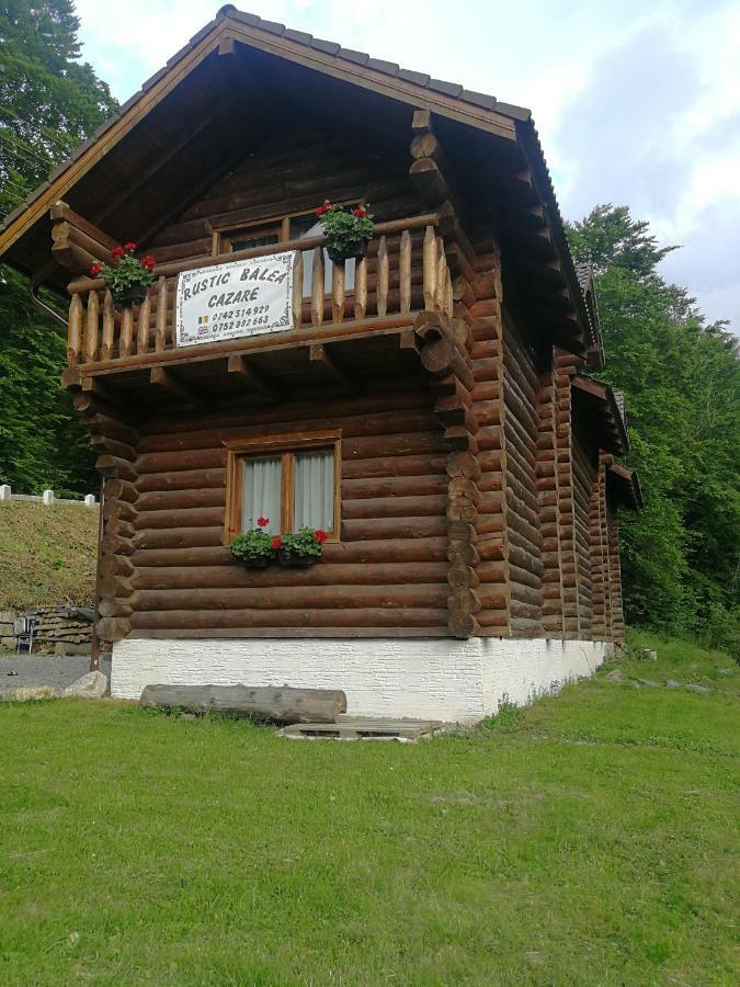 Cabana Rustic Natura Cîrţişoara Екстериор снимка