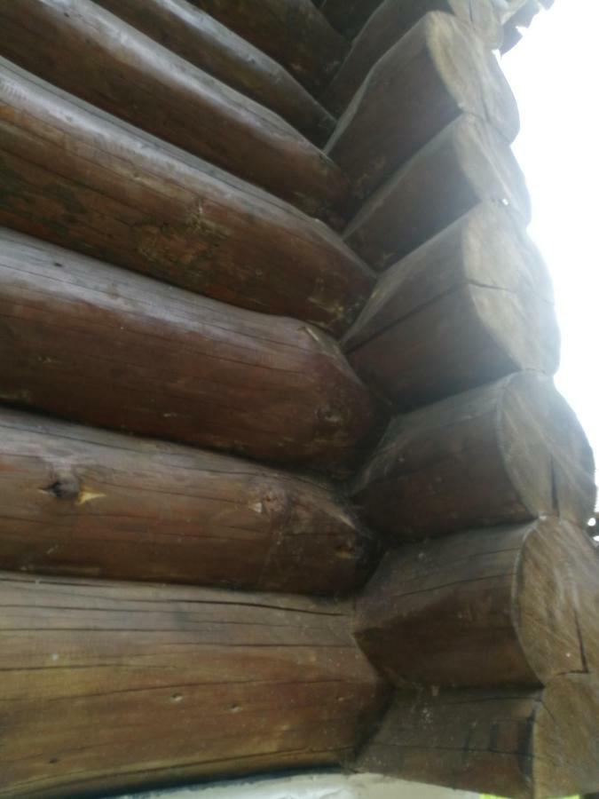 Cabana Rustic Natura Cîrţişoara Екстериор снимка