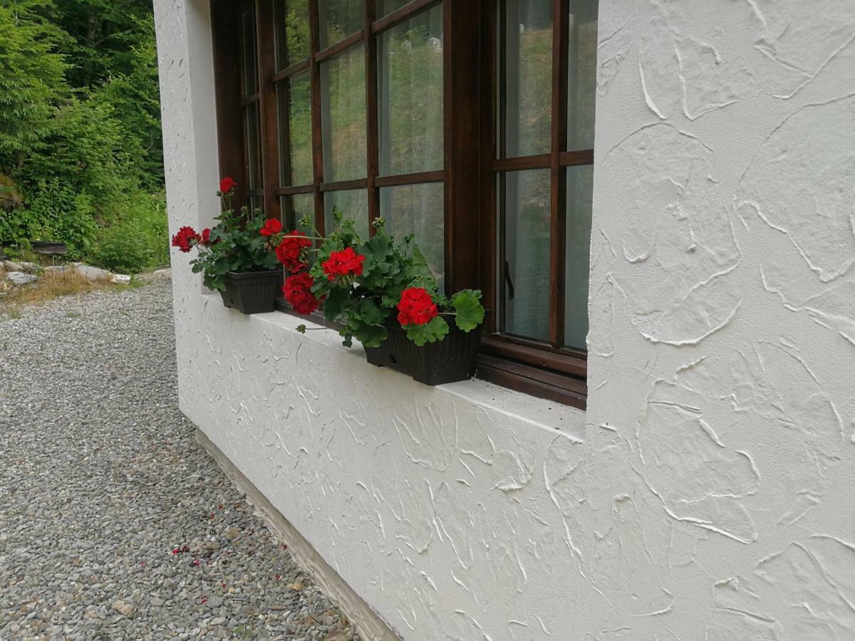 Cabana Rustic Natura Cîrţişoara Екстериор снимка