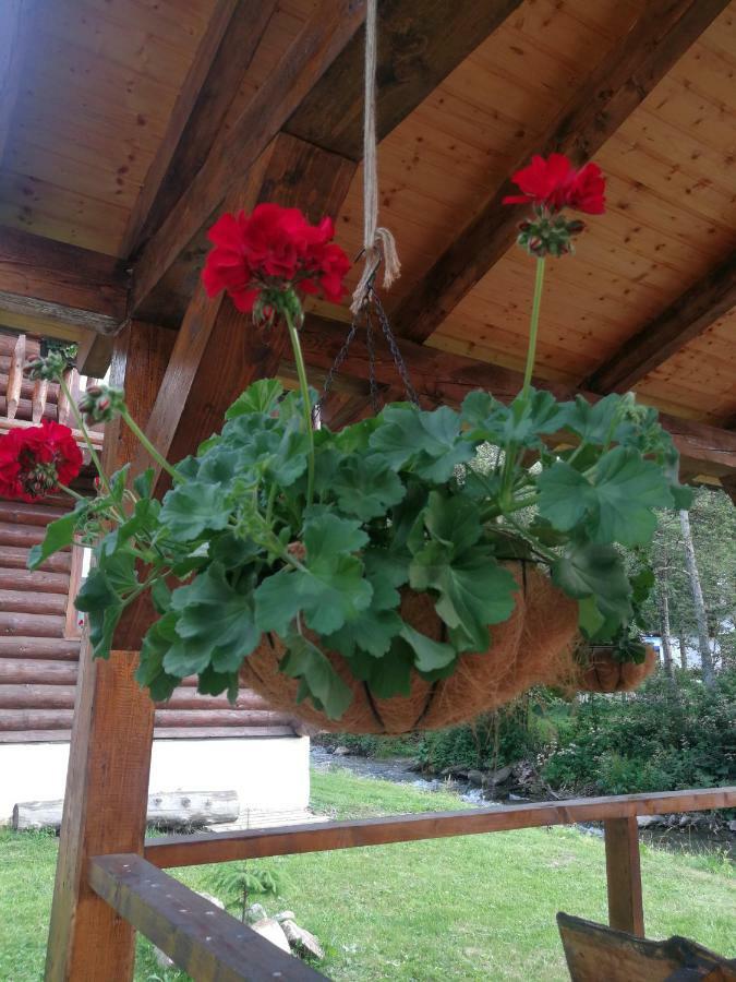 Cabana Rustic Natura Cîrţişoara Екстериор снимка