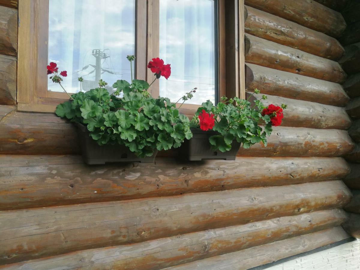 Cabana Rustic Natura Cîrţişoara Екстериор снимка
